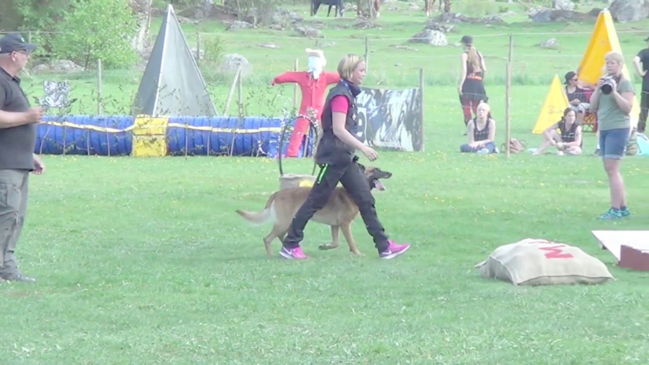 Magic Mondioring 3 Enköping