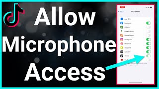 How To Allow TikTok Access To Microphone
