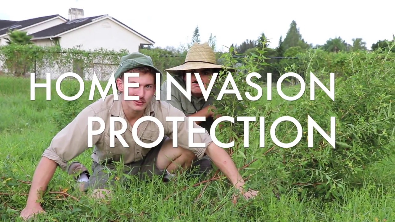 Fiesta Jones & BONGOS EP.4 (HURRICANE IRMA PREPPING!) pt.1 - YouTube