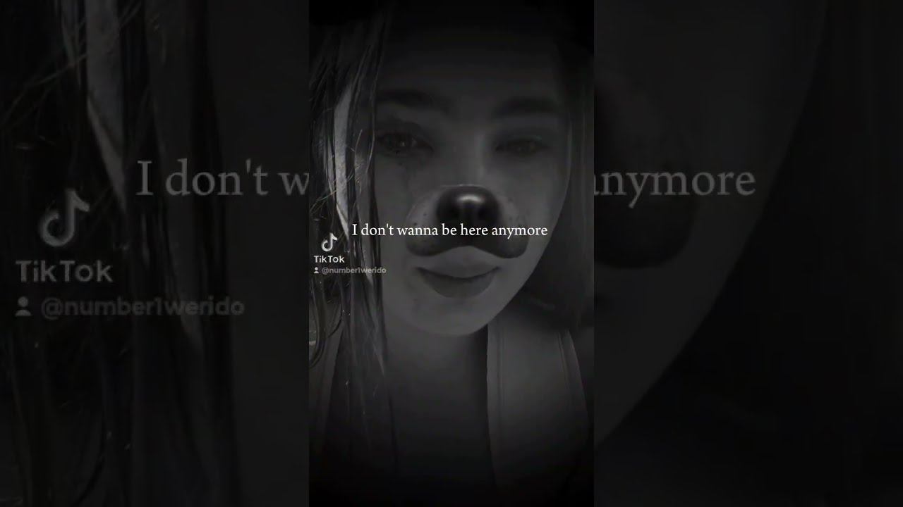 Go Add My Tiktok Iamlulu128 Viral