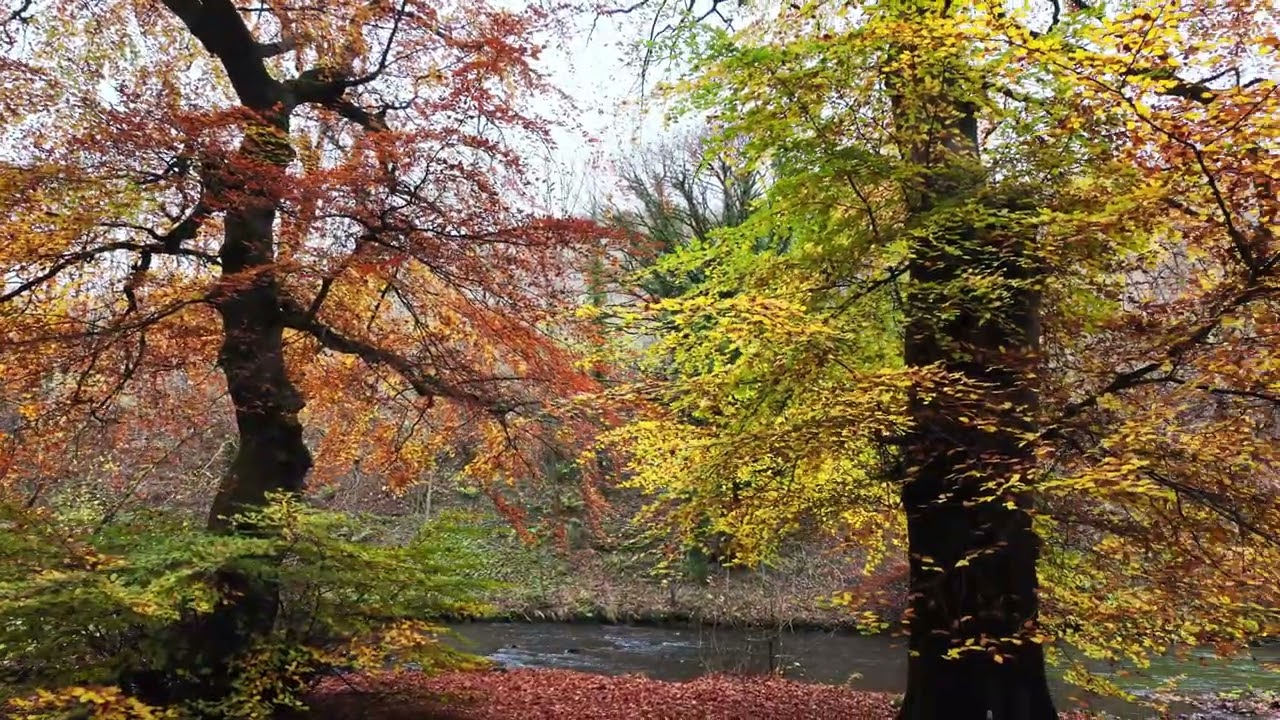 Autumn Colours on the River Wye