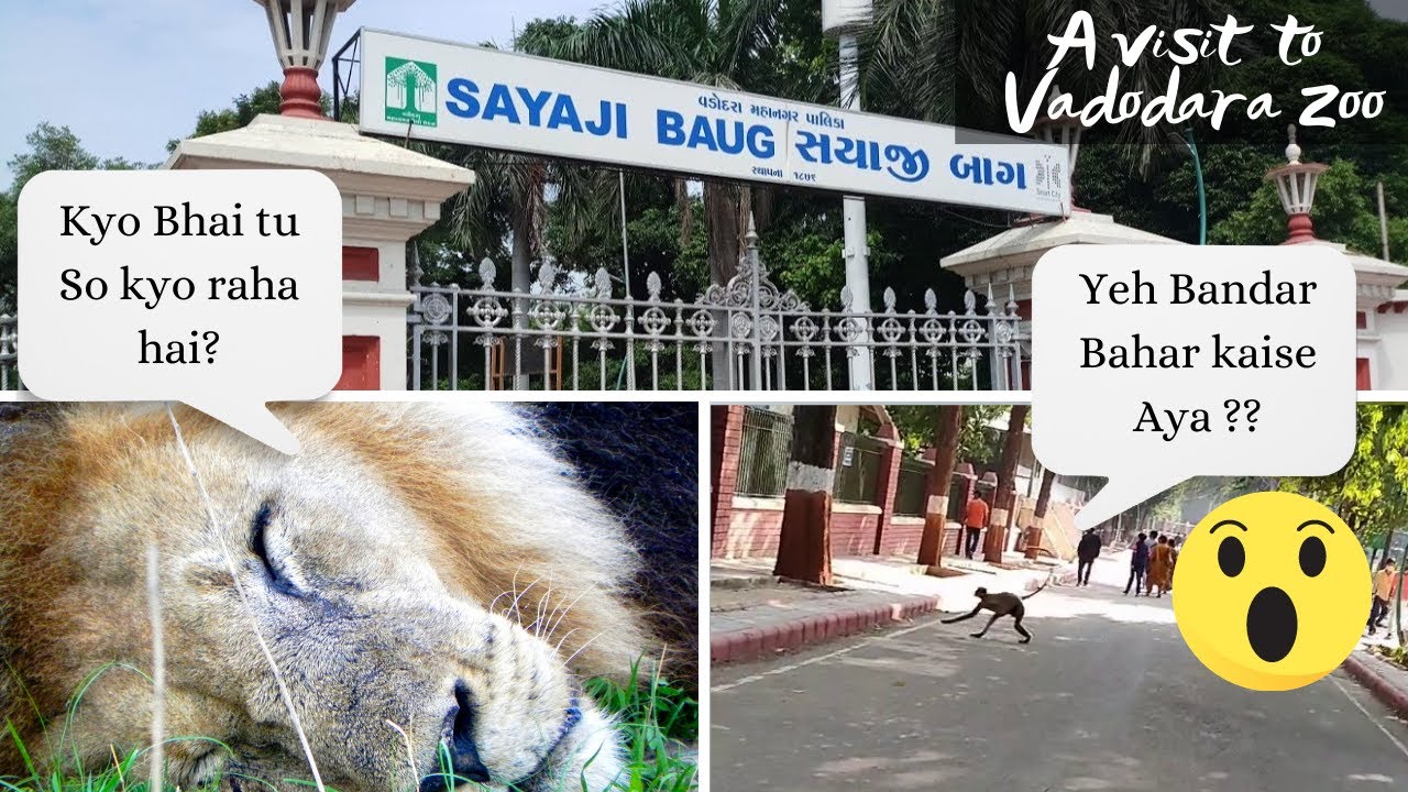 Yeh bandar 🙈🐒 bahar kaise nikala | Kamati Baug Zoo Tour Vadodara Lion- Tiger | Sayaji Baug |