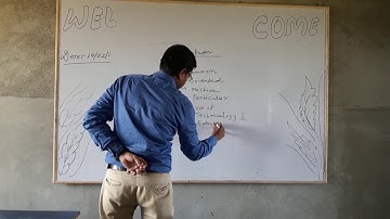 Chapter 1  class 4  Basic of computer