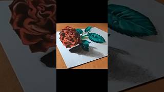 Drawing 3D Red Rose