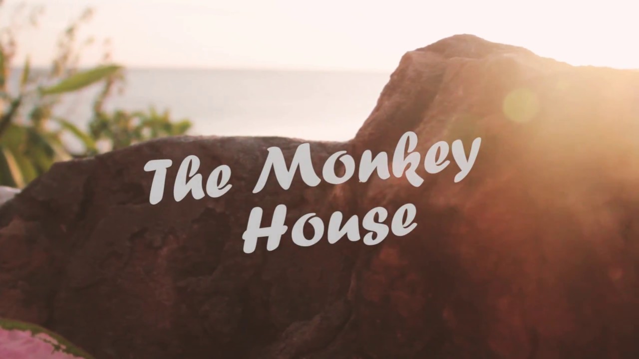 Monkey House Nicaragua YouTube