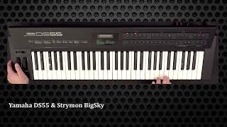 Yamaha DS55: Factory Presets Demo (Sounds Only)