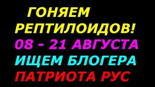 Гоняем рептилоидов с 8 по 21 августа 2021г  Блогеры Славяне  Патриты РУС, подключайтесь!