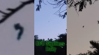 Jellyfish UFO Over Pretoria, Gauteng, South Africa March 11, 2024, UAP Sighting News.