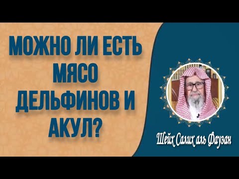 можно ли есть мясо дельфинов и акул? | Шейх Салих аль - Фаузан