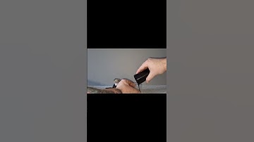 Oil catch can check on a Mustang GT 2018