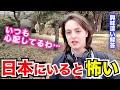 「日本は母国と違いすぎて怖いわ…正直いって」外国人観光客にインタビュー|ようこそ日本へ!Welcome to Japan!【海外の反応】