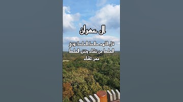 بِسْمِ اللَّهِ الرَّحْمَنِ الرَّحِيمِ سورة آل عمران 🤲