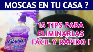 Cómo eliminar LAS MOSCAS DE TU CASA para siempre / 15 TIPS para ELIMINAR LAS MOSCAS !