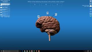 Vived Anatomy For Zspace Tutorial 3 - Viewing