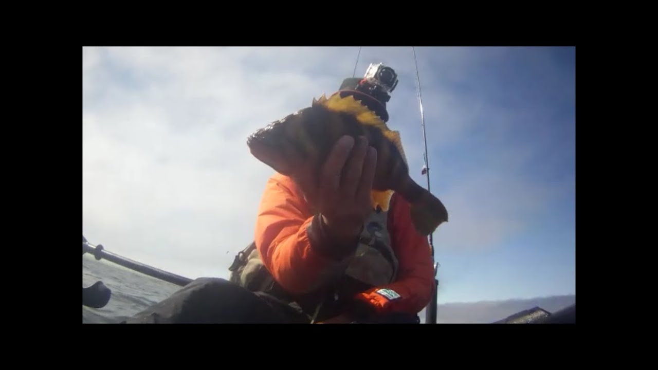 Estero Bay Kayak Fishing Cayucos,CA YouTube