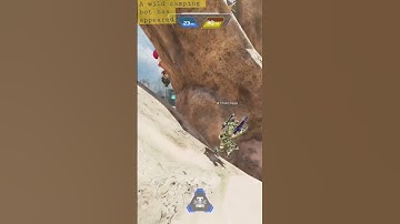 A wild camping bot in APEX LEGENDS #apex #apexlegends
