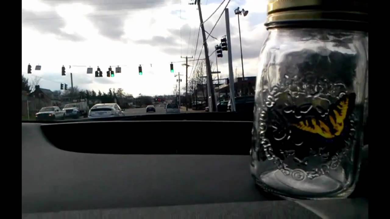 Electronic Butterfly In A Jar from ThinkGeek YouTube