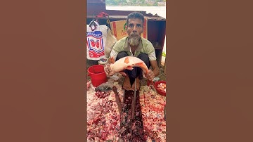 Amezig Pangas fish cutting vlog video ✅🐬✅ #shorts