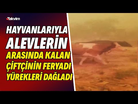 Manavgat'ta hayvanlarıyla alevlerin ortasında kalan çiftçinin feryadı yürekleri dağladı