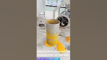 Industrial Mango Pulp Making Machine Details Mango Pulp Processing Machinery
