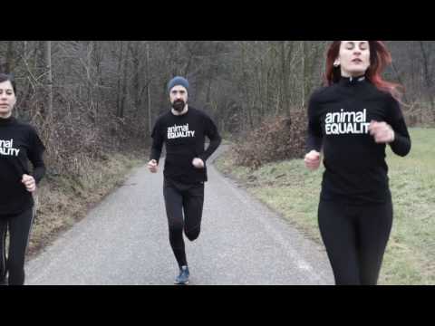 #RUN4ANIMALS: Corri con noi per un mondo senza gabbie.