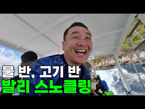 발리 당일치기 스노클링은 여기 누사페니다 스노클링 1일 투어 - 발리 | 인도네시아 여행[3]