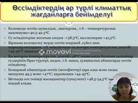 Мардж Симпсонның Бартпен секс видеосы