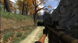 BF4-HK416-Cele