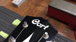 Cort Source Bigsby P-90’s