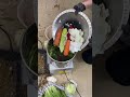 Heavy-Duty Stainless Steel Vegetable Chopper &amp; Shredder for Poultry &amp; Livestock Feed Preparation