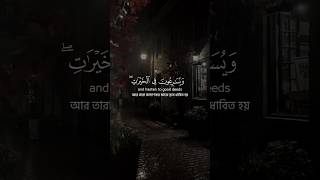 Surah Ibrahim:114-115 | Badr Al-Turki | #quran #quranictranslation #shorts #ytshorts #surahibrahim