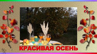 Красивая Осень Осенний Позитив