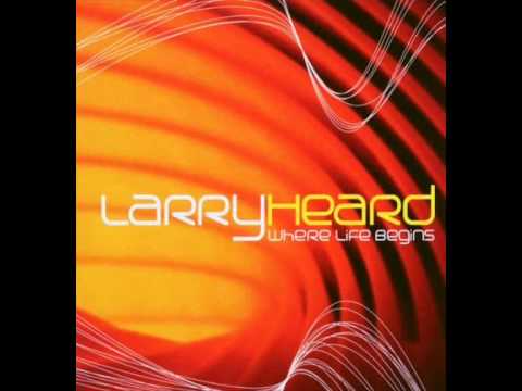 Larry Heard - Insight