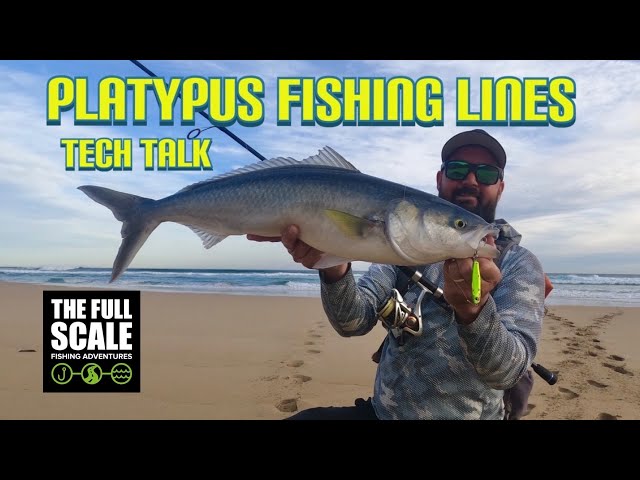 Platypus Fishing Lines, Murray cod, Saltwater fishing, Tech Talk