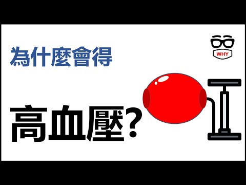 為什麼會得高血壓?｜高血壓高風險族群? ｜壞壞疾病為什麼系列