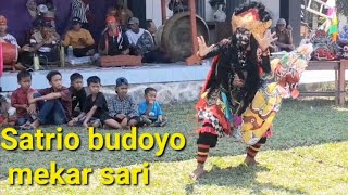 satrio budoyo mekar sari jaran buto kampung sumber sari kec.penawar aji tub.tulang bawang