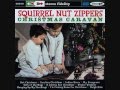 I'm Coming Home For Christmas - Squirrel Nut Zippers