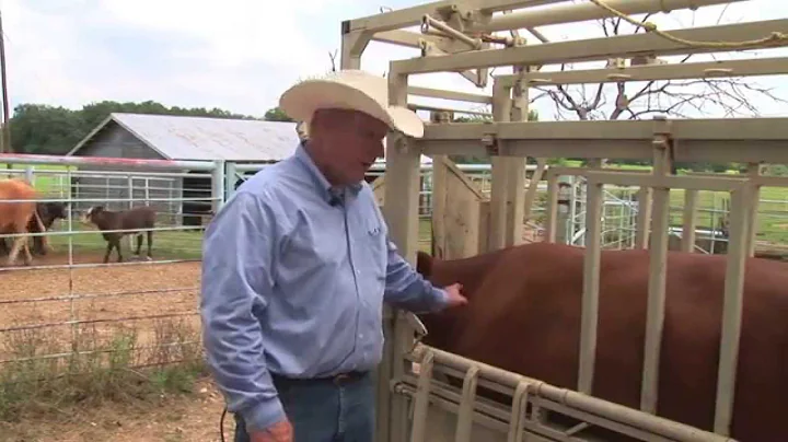 Ron Gill - BQA - Best location for Injections