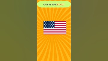 Guess the Flag Challenge | Can You Get It Right? #shorts