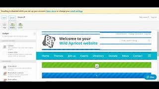 Embed A Forum Into Your Wild Apricot Website