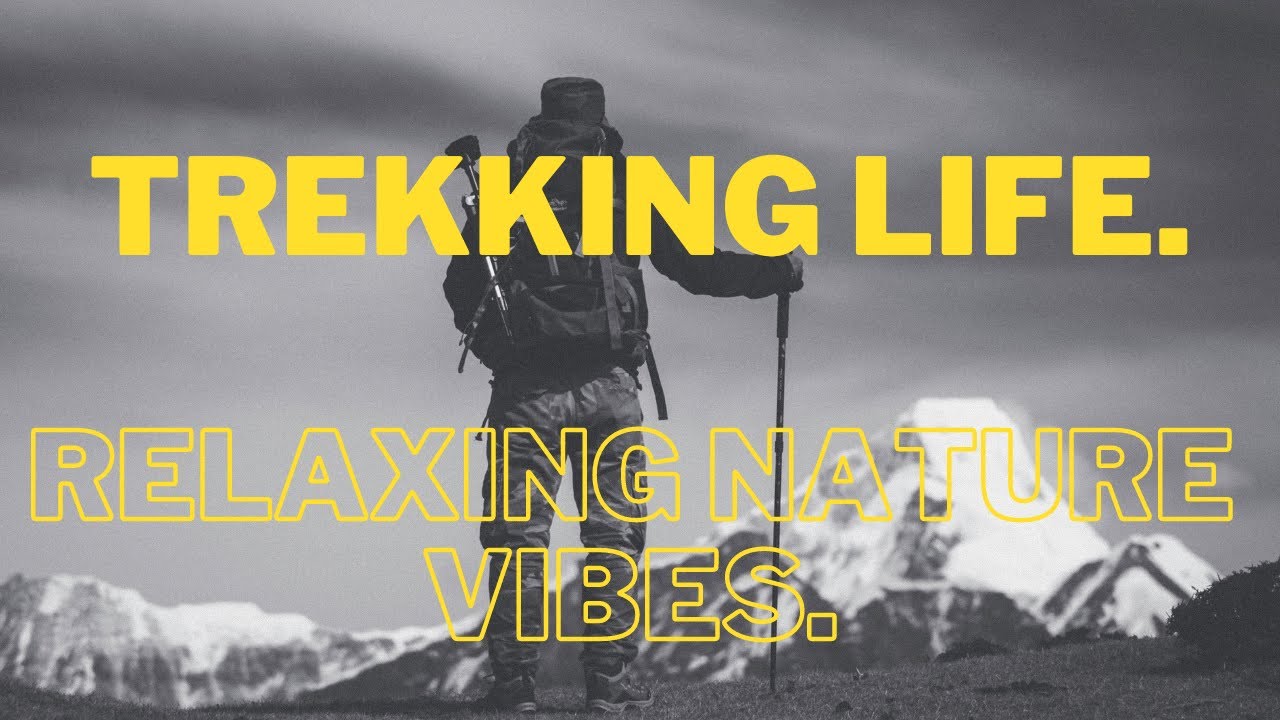 Relaxing music. jungle trek. Nature vibes