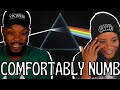 FIRST TIME HEARING PINK FLOYD 🎵 Comfortably Numb Reaction