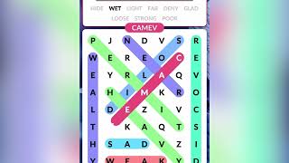 Word Search Explorer Level 130