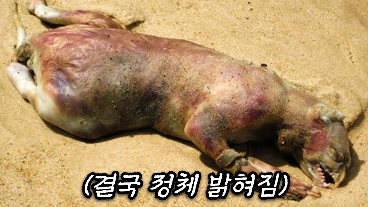 추천 영화