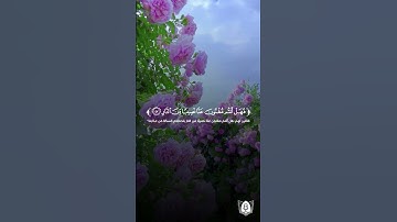 تلاوة بصوت فهد واصل المطيري من سورة غافر  #قران #قرآن_كريم #آيات #استغفرالله #الحمدلله #quran