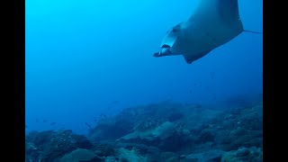 Flower Gardens Coral Spawn trip - day 1 (video 1 of 3)