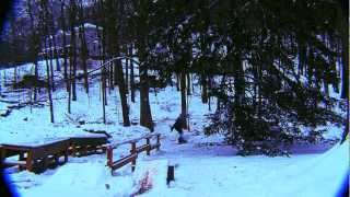 Backyard Snowboarding 2013