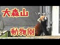 大森山動物園に行って来ました♪ の動画、YouTube動画。