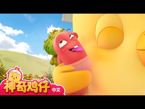 神奇鸡仔 9~12 | 30分 | 卡通動畫 | 好習慣卡通動畫 | Como Kids TV