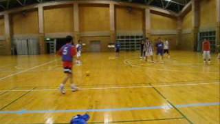ftslemsmzgok20090610IVb